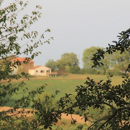 Pour Les Amoureux De La Nature. Saint-Cirgue Bagian luar foto